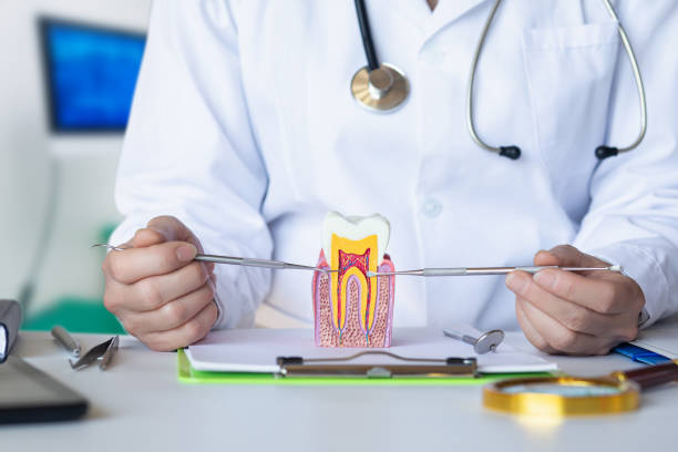 Best Emergency Dentist for Special Needs Patients in Centreville, MI